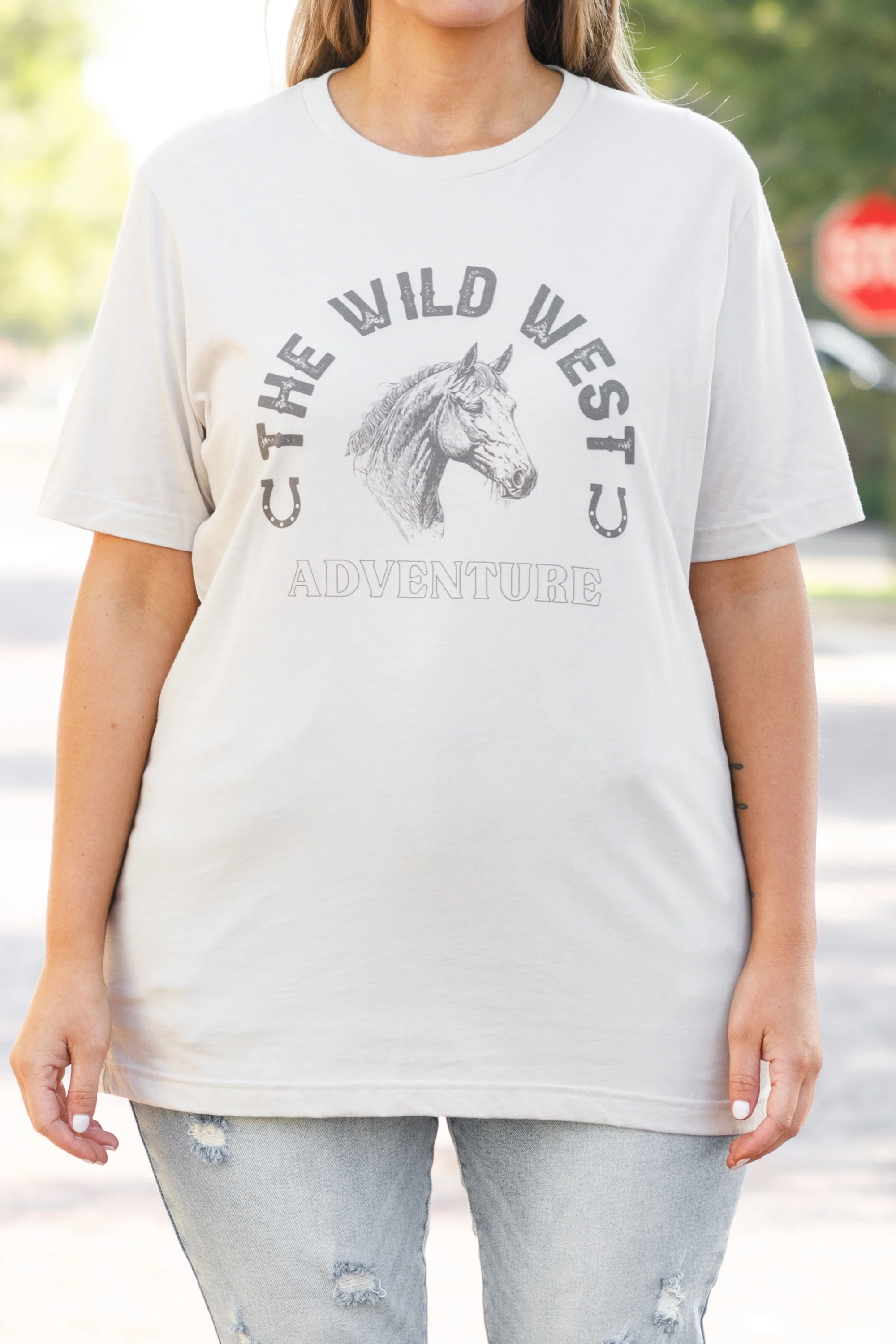 Wild West Adventure Tee, Dust - Image 4